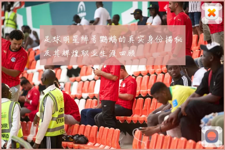 足球明星绰号鹦鹉的真实身份揭秘及其辉煌职业生涯回顾